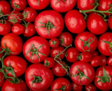 Fresh Indian vegetables for export