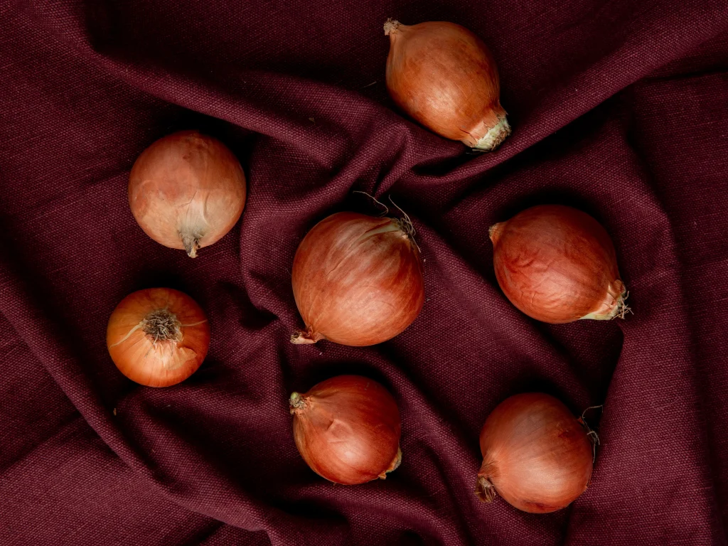 Onion Export